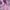 Hoodie anak nb ungu lilac lucu photo 5