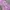 Hoodie anak nb ungu lilac lucu photo 3