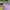 Hoodie anak nb ungu lilac lucu photo 2