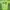 Work Sport Jersey Sport Wear Runinng Hijau Neon Gratex Olahr photo 2
