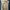 Casual Jumpsuit Wanita tan photo 2