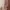 Brown Long Balloon Sleeved Ribbed Top photo 3