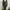 Green army V-neck dress brand boohoo photo 1
