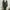 Green Army V-neck Dress Brand Boohoo