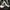 Converse Run Star Hike canvas photo 1