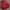 Backpack merah pinepple  photo 2