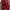 Backpack merah pinepple  photo 8