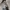 Polo Ralph Lauren Casual Casual shirt Pria white photo 7