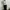 Black Bodycon Cut Out Halter Dress Brand Blanche