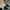 NEW BALANCE 420V2 GREY photo 6