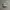 NEW BALANCE 420V2 GREY photo 1