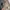 Attention Streetwear Casual Bomber jacket Pria green khaki photo 3