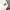 Stussy Vintage Y2K Casual shirt Pria white photo 6