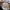 Topi MLB Putih Hitam Motif Hewan Bordir – Model H  photo 6