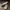 ORIGINAL Converse Chuck Taylor All Star Low  photo 2