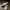 ORIGINAL Converse Chuck Taylor All Star Low 