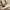 Gentle woman ballerina bag photo 1