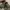 adidas ozweego trace olive  photo 3