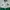 Jaket Yomiuri Verdy 1996 Original photo 4