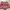 UNIQLO celana pendek wanita dusty pink photo 1