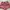 UNIQLO celana pendek wanita dusty pink photo 2