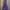 Long Dress Maxi Dress Floral Navy