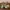 LEGO ORI Hogwarts Castle photo 1