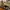 LEGO ORI Hogwarts Castle photo 4