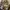 LEGO ORI Hogwarts Castle photo 2