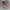 Vans slip on x friday13th photo 2