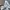 Nike Air Max Tn Plus Lacoste  photo 6