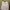Rok Tutu Skirt Flare