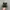 Nike Skepta Tailwind Red Black photo 4