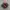 Nike Skepta Tailwind Red Black photo 2