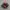 Nike Skepta Tailwind Red Black