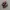 Nike Skepta Tailwind Red Black photo 1