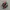 Nike Skepta Tailwind Red Black