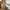 Floral cream v-neck puffy sleeve buttoned dress photo 3