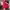 Simple Red Dress Short Sleeves