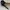 Badgley Mischka heels photo 4