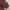 Colombia Titanium  Jaket Outdoor Waterproof Maroon photo 7