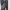 Black Lace Sequins Mesh Vintage Fitted Pants 