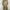 Beige one set cropped top / jacket & utility cargo pants photo 3