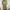 Beige one set cropped top / jacket & utility cargo pants photo 1