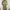 Beige One Set Cropped Top / Jacket & Utility Cargo Pants