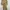 Beige one set cropped top / jacket & utility cargo pants photo 2