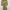 Beige One Set Cropped Top / Jacket & Utility Cargo Pants