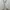 White satin cowl neck slip dress brand emve photo 2