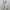 White Satin Cowl Neck Slip Dress Brand Emve