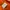 The North Face Outerwear Kids orange white photo 7
